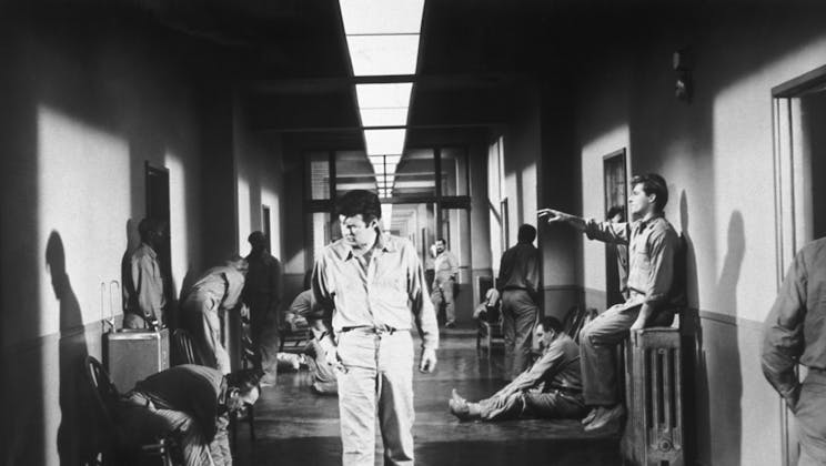 Shock Corridor