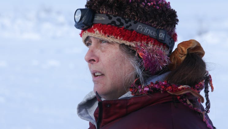 Life Below Zero